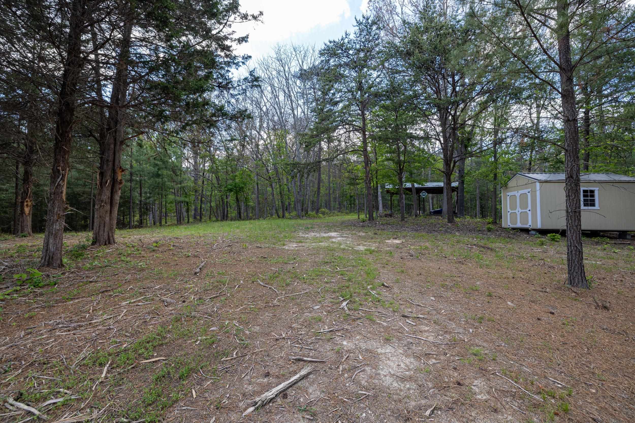 0 Boliver Road Fort Valley, VA 22652 - Photo 40 of 55 a view of a backyard with large trees
