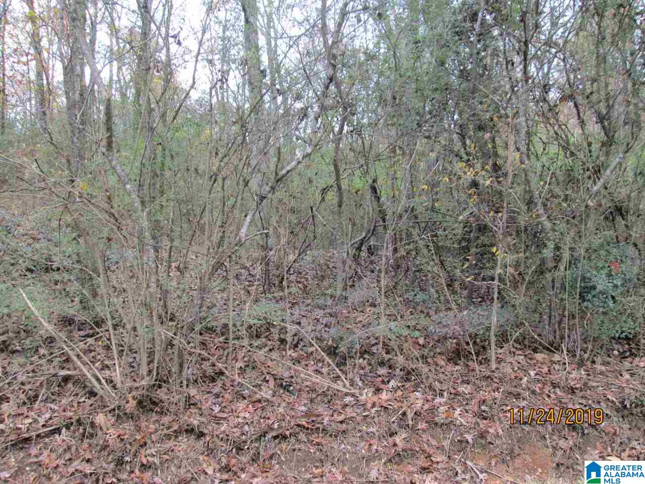 0 Cross Street, Unit 2 80 ACRES Springville, AL 35146 - Photo 7 of 8