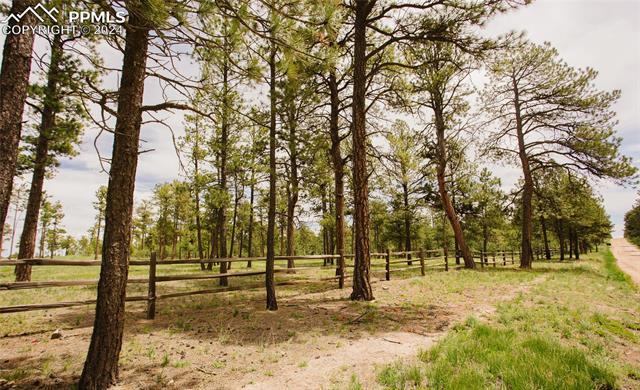 17312 Goshawk Road Colorado Springs, CO 80908 - Photo 4 of 6 Gallery Image 4