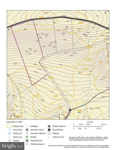 a view of a dry yard