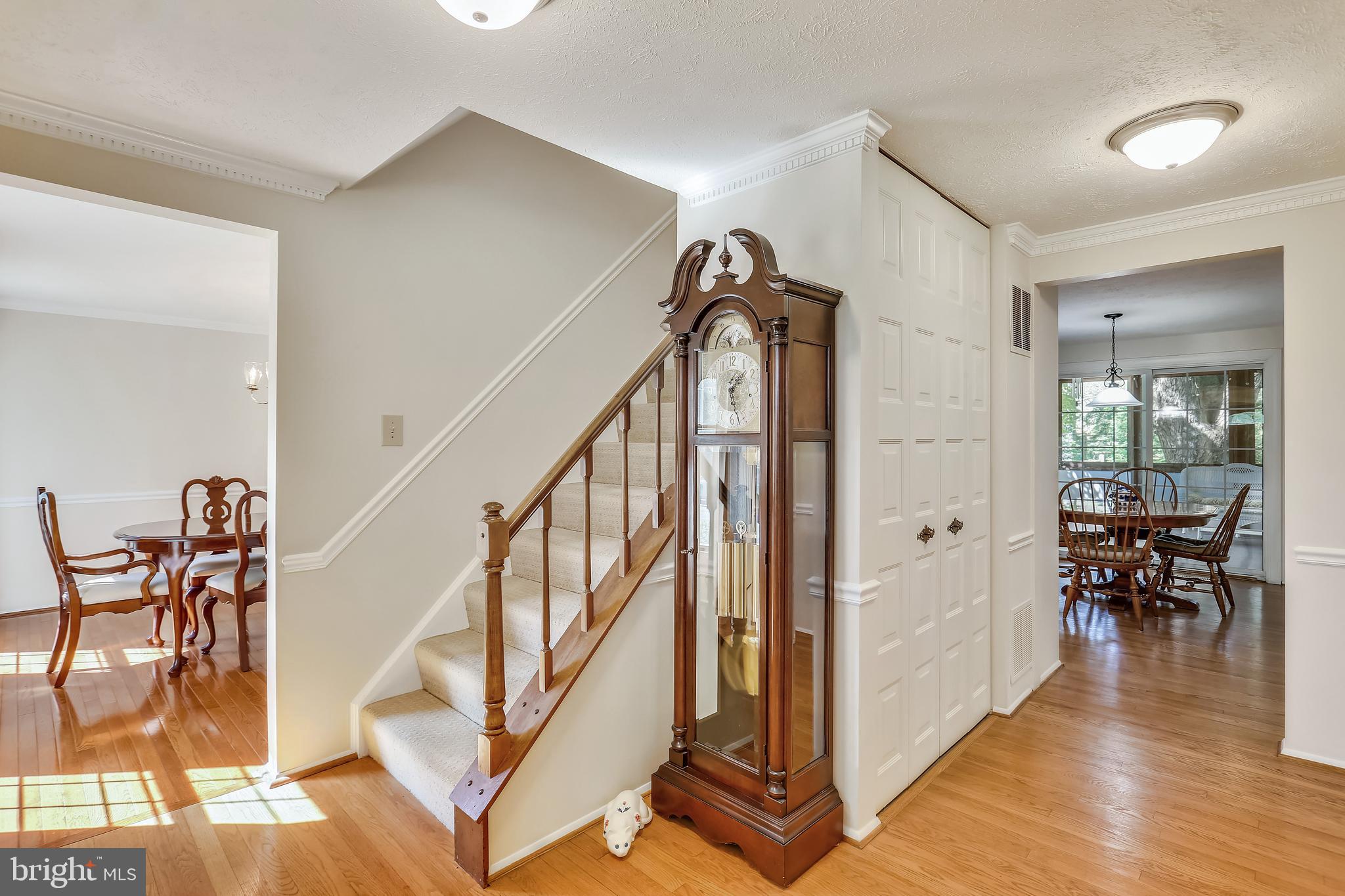 9301 Huntmaster Road Laytonsville, MD 20882 - Photo 16 of 99 Foyer and hall