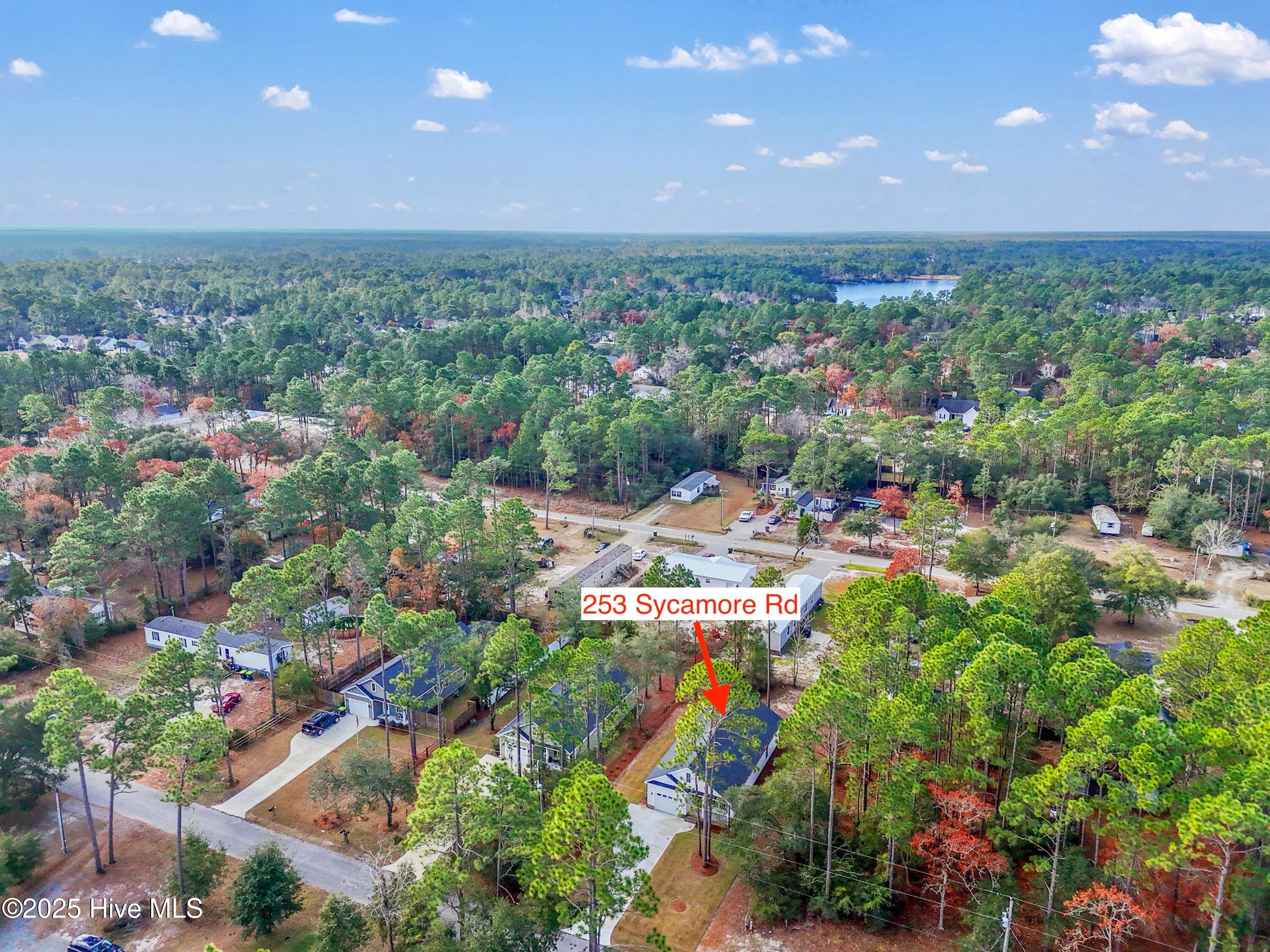 253 Sycamore Road Southport, NC 28461 - Photo 39 of 62 253SycamoreRd - 38