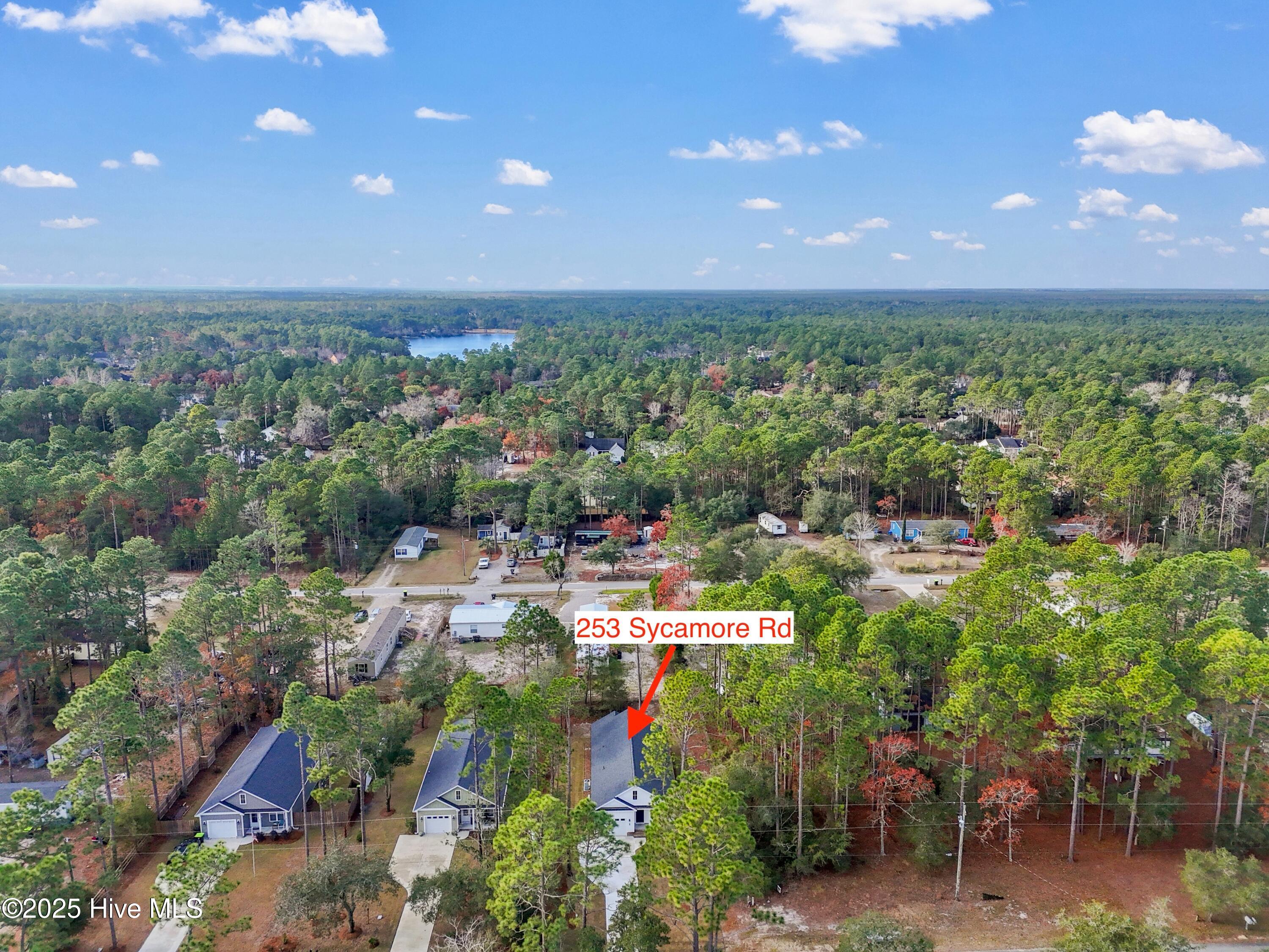253 Sycamore Road Southport, NC 28461 - Photo 40 of 62 253SycamoreRd - 40