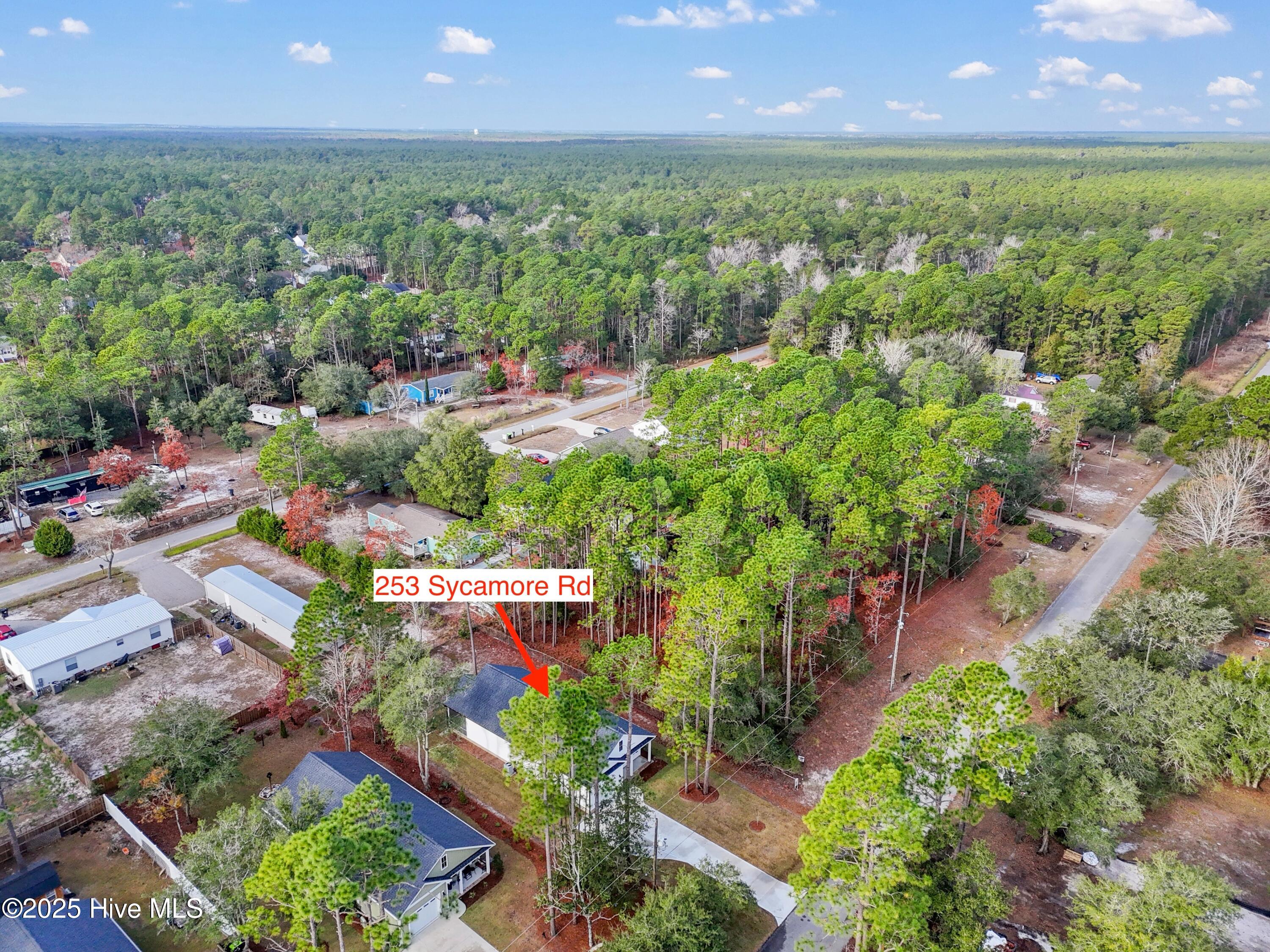 253 Sycamore Road Southport, NC 28461 - Photo 41 of 62 253SycamoreRd - 42