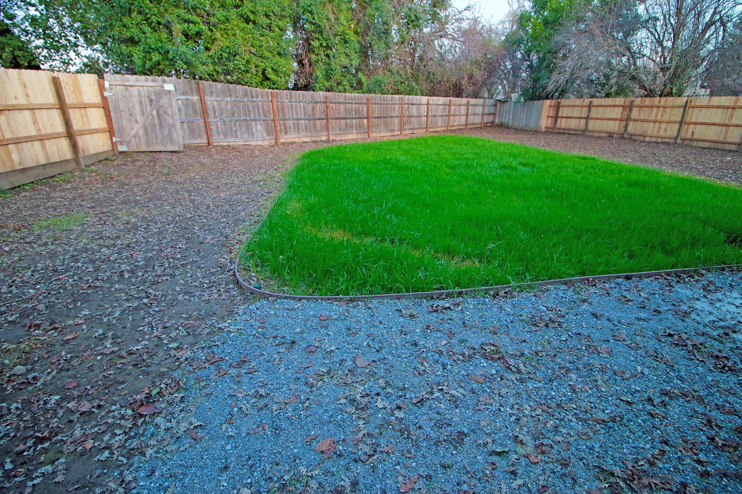 2677 Tremonto Road Anderson, CA 96007 - Photo 11 of 25 TREMONTO BACKYARD GRASS