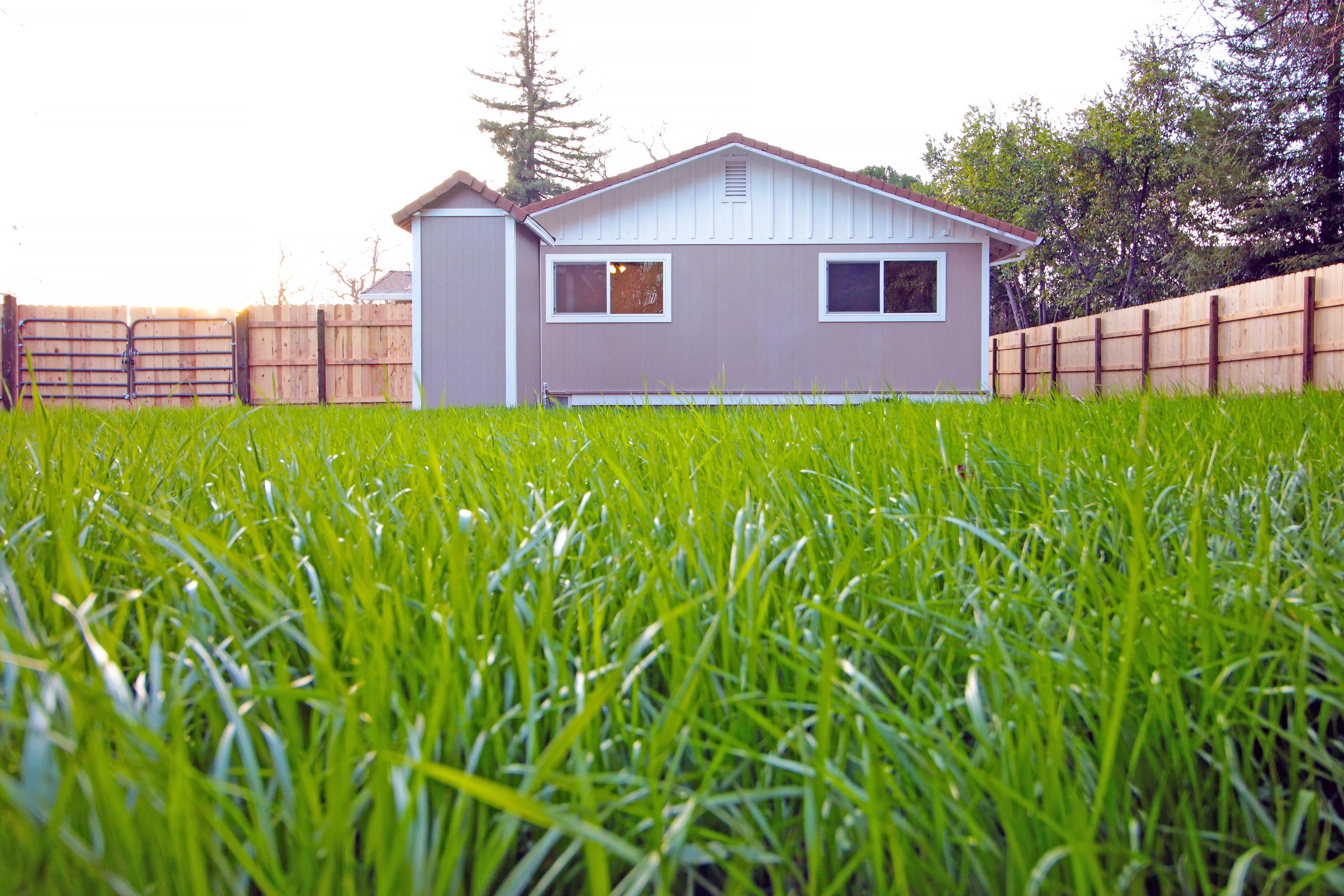 2677 Tremonto Road Anderson, CA 96007 - Photo 9 of 25 TREMONTO BACK YARD
