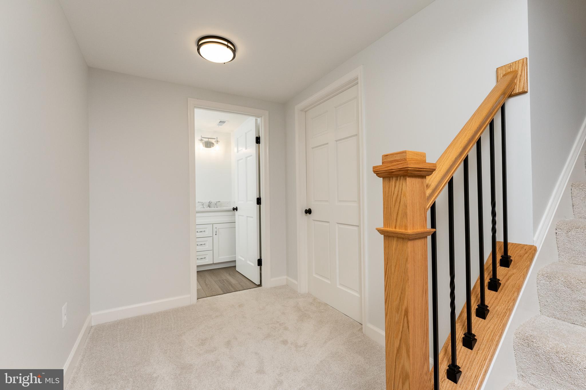 39627 Rodeffer Road Lovettsville, VA 20180 - Photo 34 of 52 Lower level