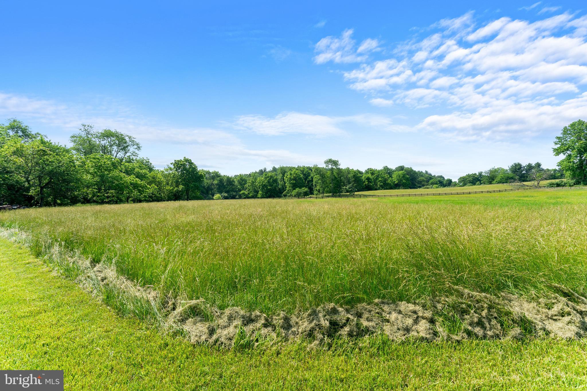 39627 Rodeffer Road Lovettsville, VA 20180 - Photo 46 of 52 Acreage beyond the creek