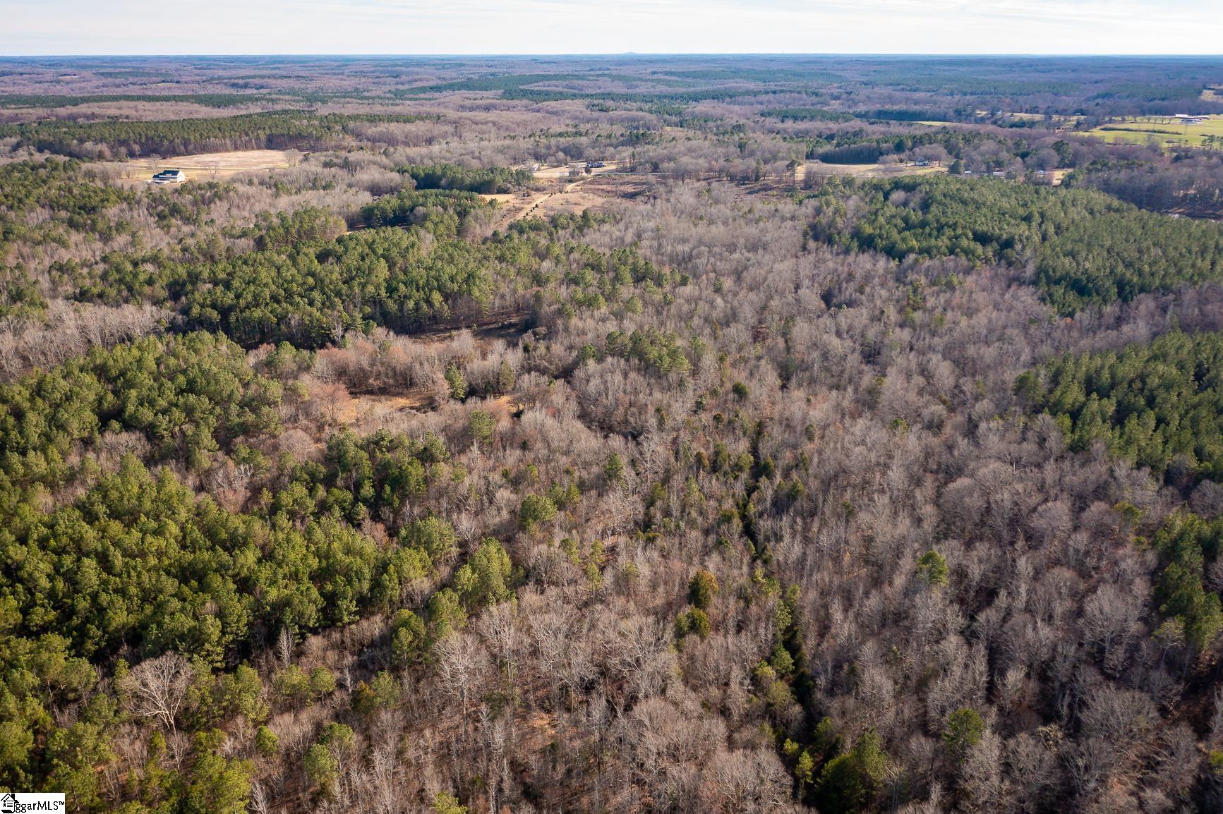 252 Highway Honea Path Honea Path, SC 29654 - Photo 11 of 20