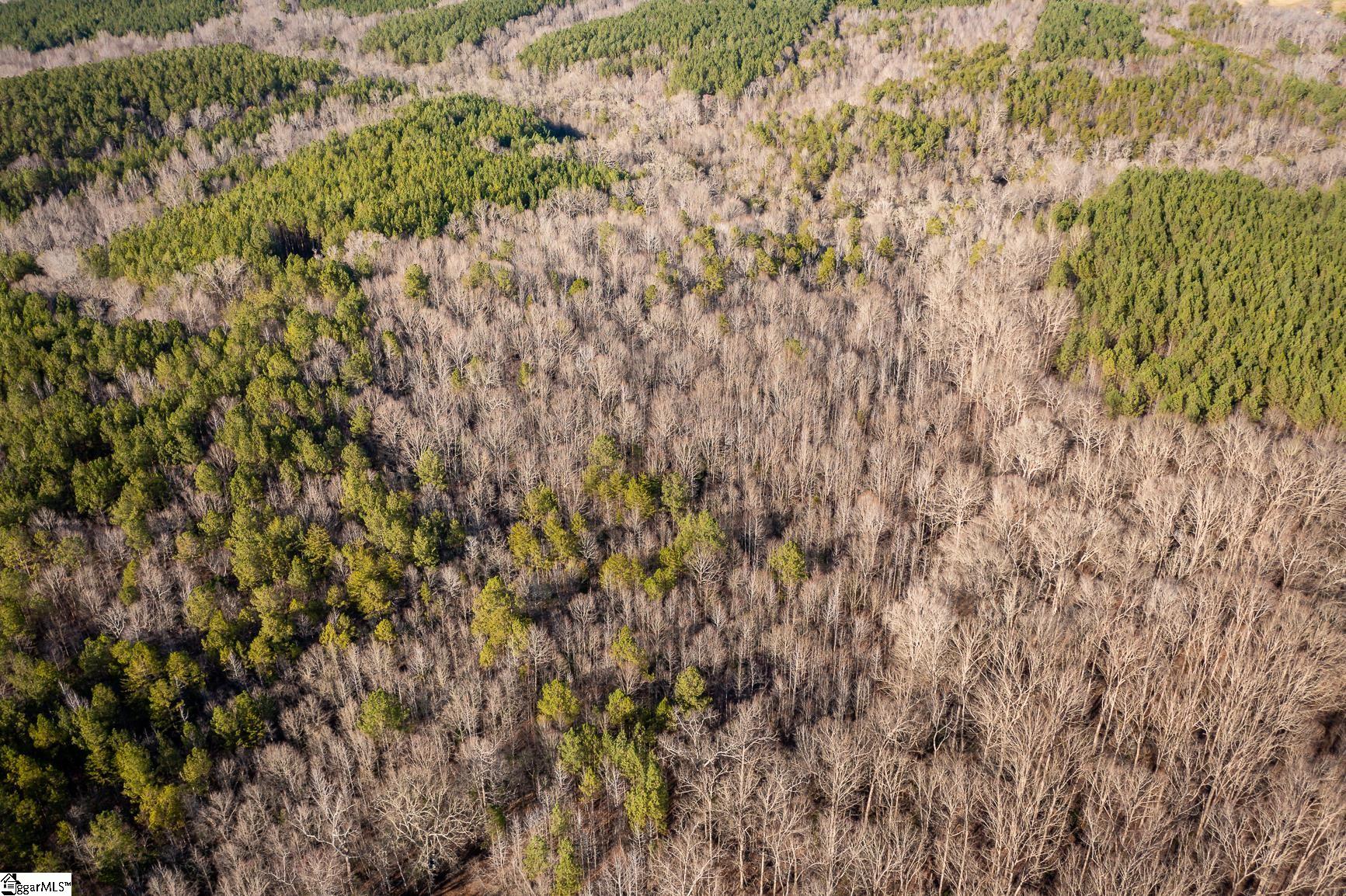 252 Highway Honea Path Honea Path, SC 29654 - Photo 12 of 20