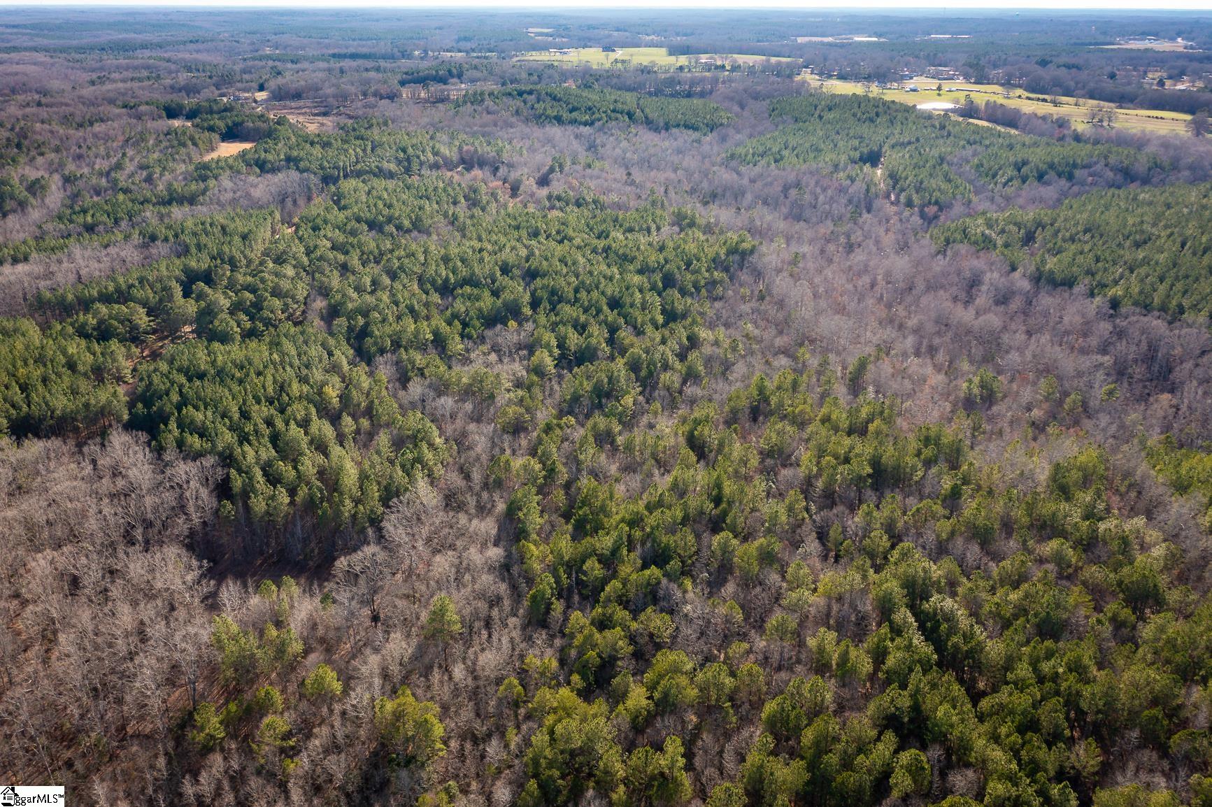 252 Highway Honea Path Honea Path, SC 29654 - Photo 13 of 20