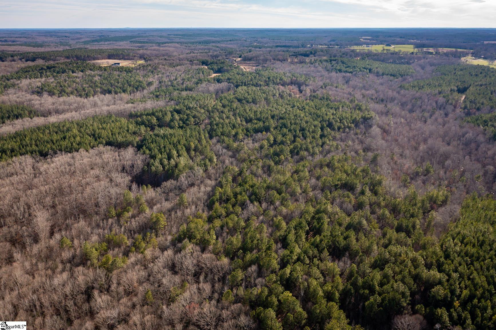 252 Highway Honea Path Honea Path, SC 29654 - Photo 14 of 20