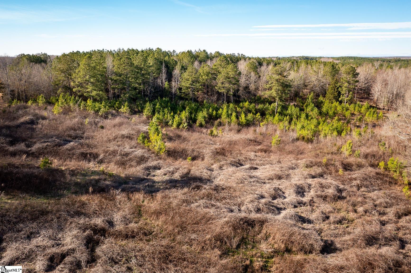 252 Highway Honea Path Honea Path, SC 29654 - Photo 15 of 20