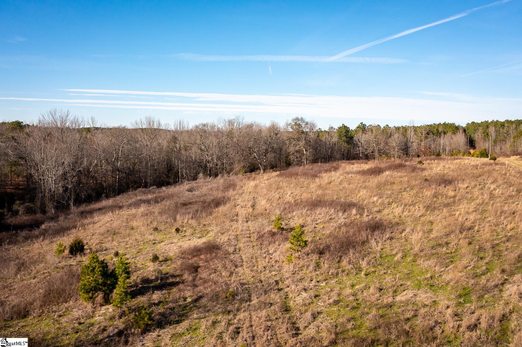 252 Highway Honea Path Honea Path, SC 29654 - Photo 16 of 20