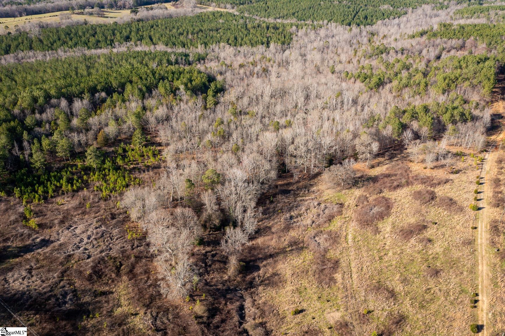 252 Highway Honea Path Honea Path, SC 29654 - Photo 7 of 20