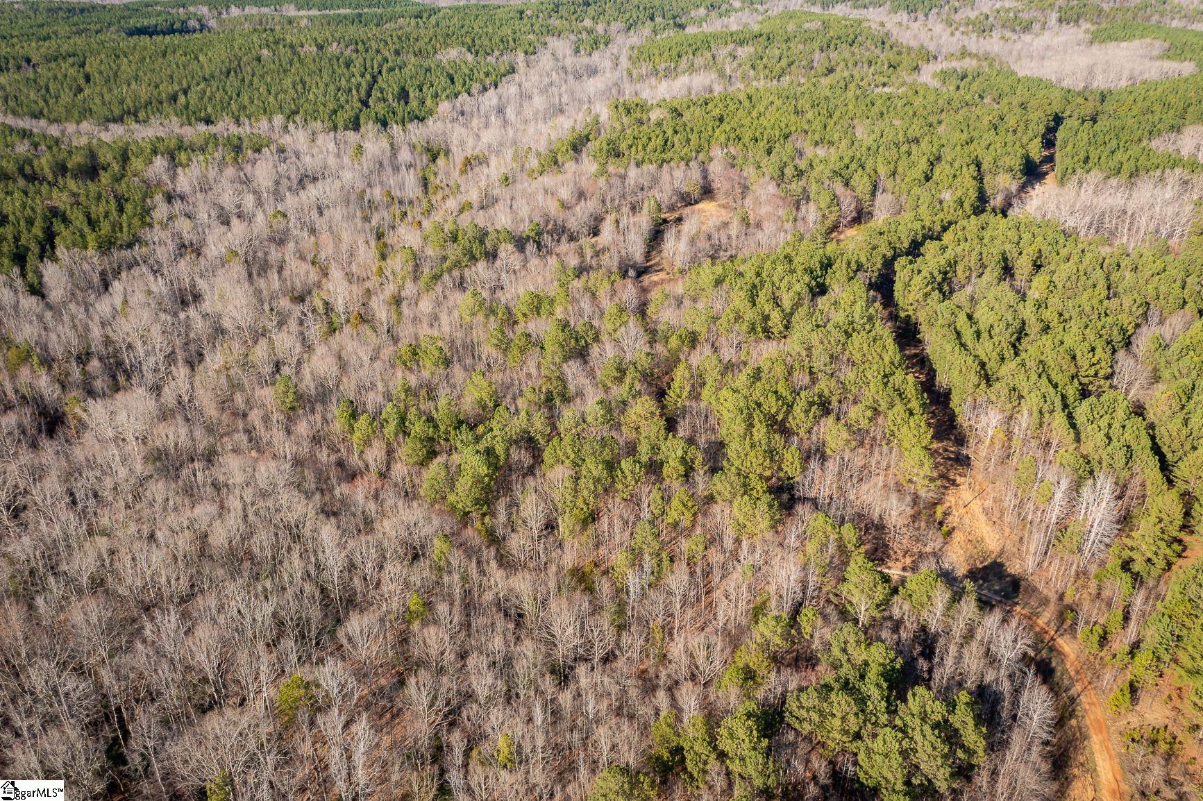 252 Highway Honea Path Honea Path, SC 29654 - Photo 8 of 20