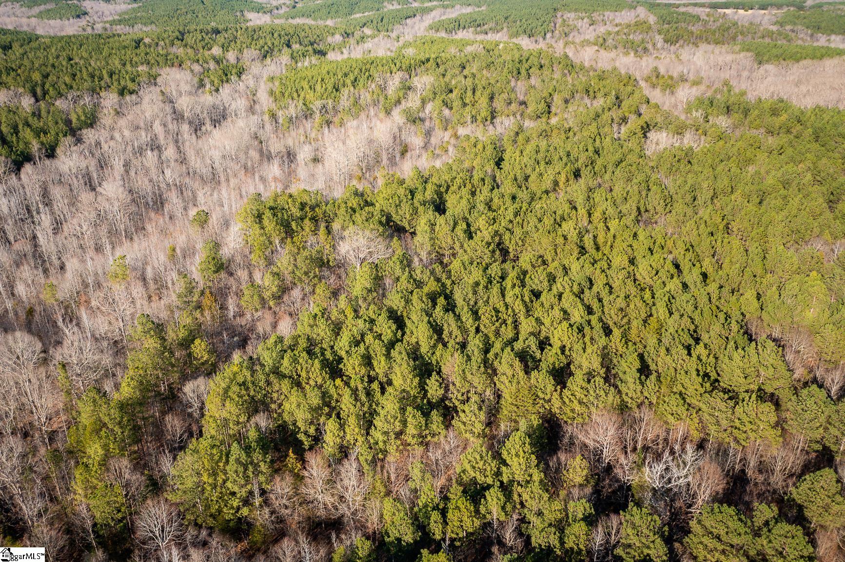 252 Highway Honea Path Honea Path, SC 29654 - Photo 10 of 20