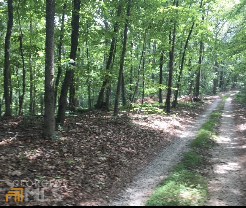 0 West Chapel Hill Road Douglasville, GA 30135 - Photo 1 of 1 a view of outdoor space and trees