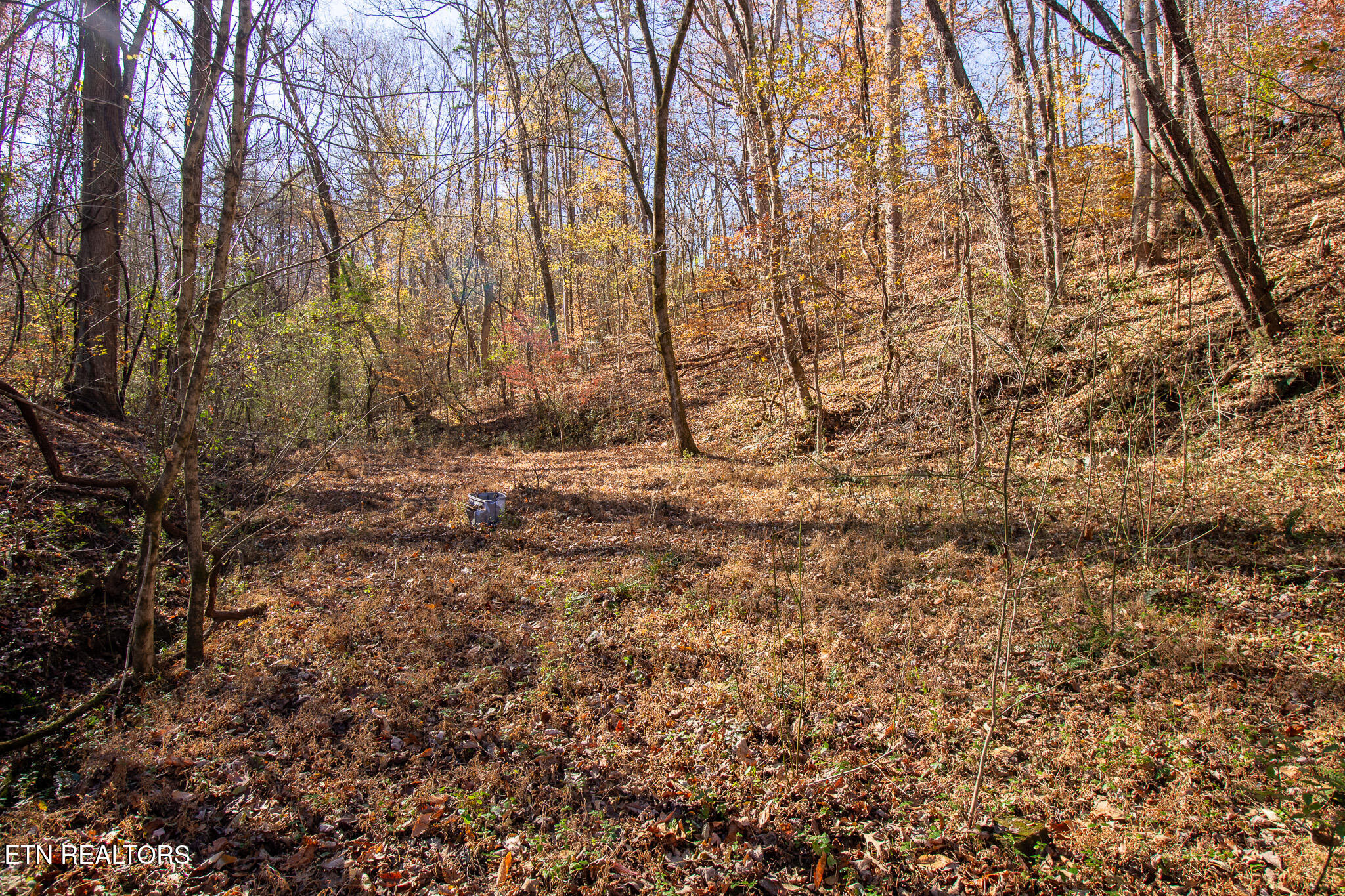 2020 Ruritan Road Harriman, TN 37748 - Photo 4 of 14 _MG_3999-HDR