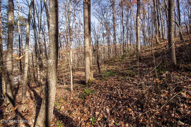 $75,000 | 2020 Ruritan Road, Harriman, TN 37748