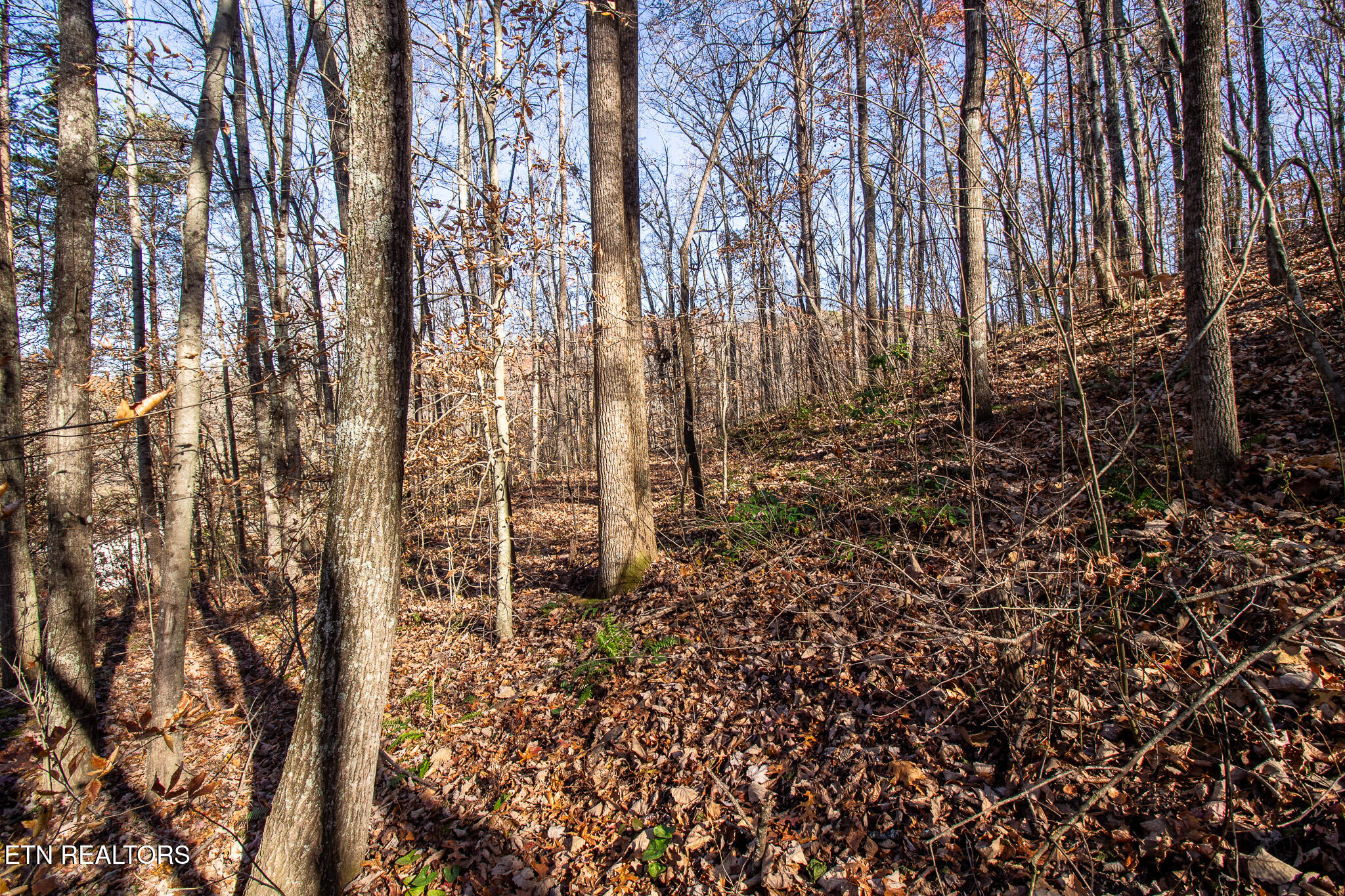 2020 Ruritan Road Harriman, TN 37748 - Photo 5 of 14 _MG_4005-HDR