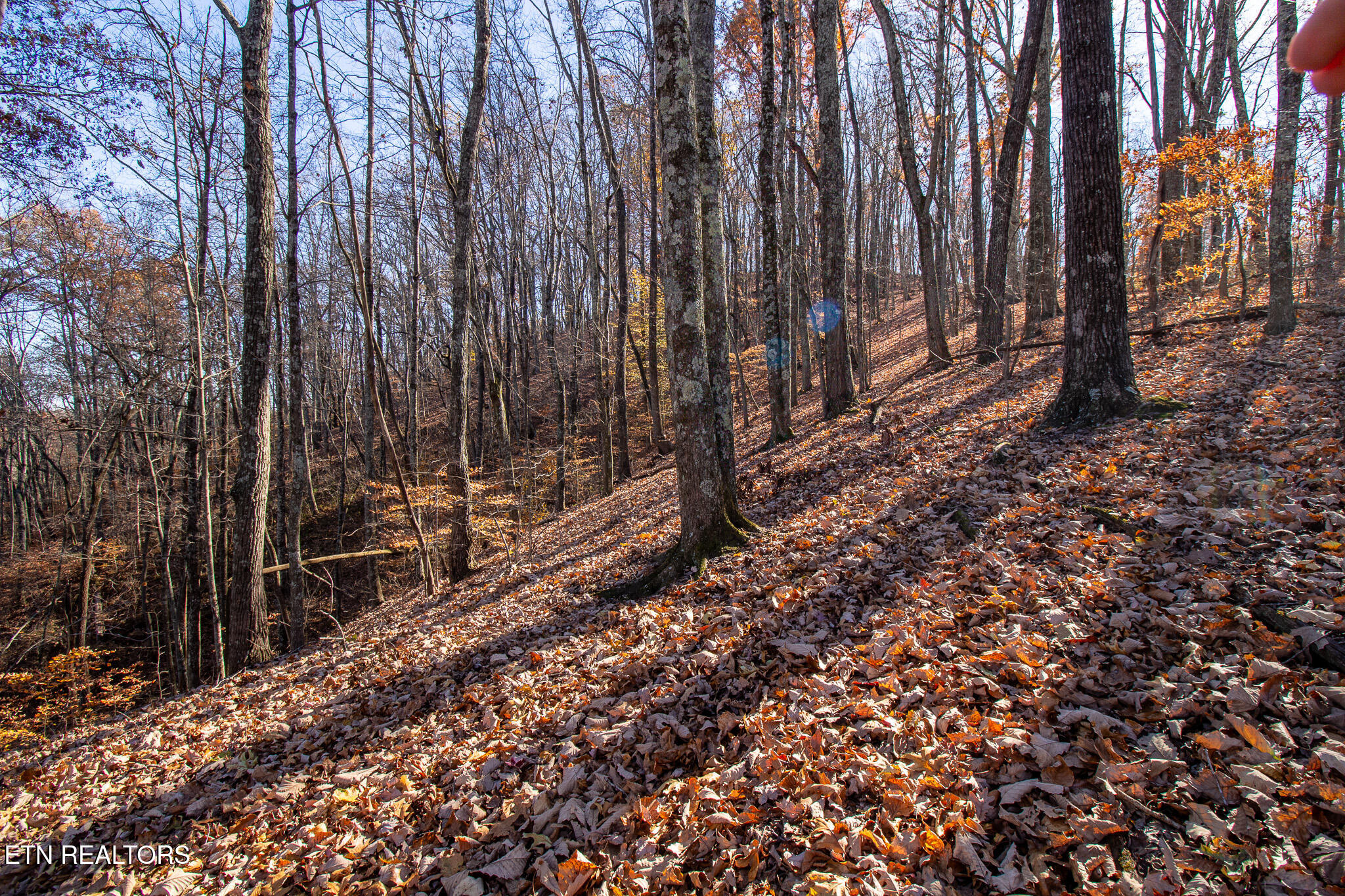 2020 Ruritan Road Harriman, TN 37748 - Photo 6 of 14 _MG_4008-HDR
