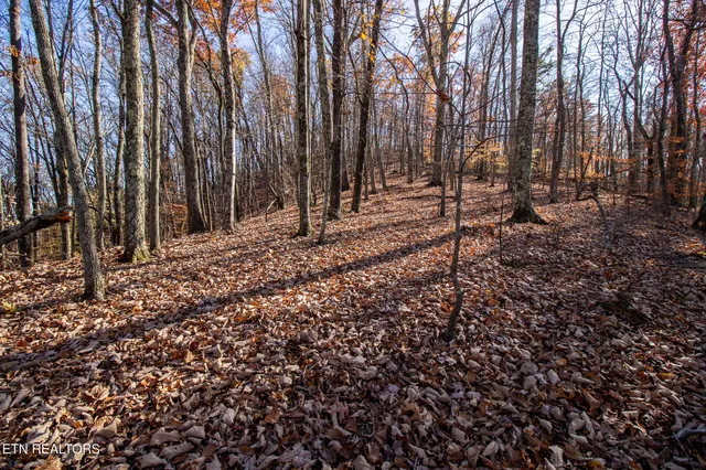 $75,000 | 2020 Ruritan Road, Harriman, TN 37748