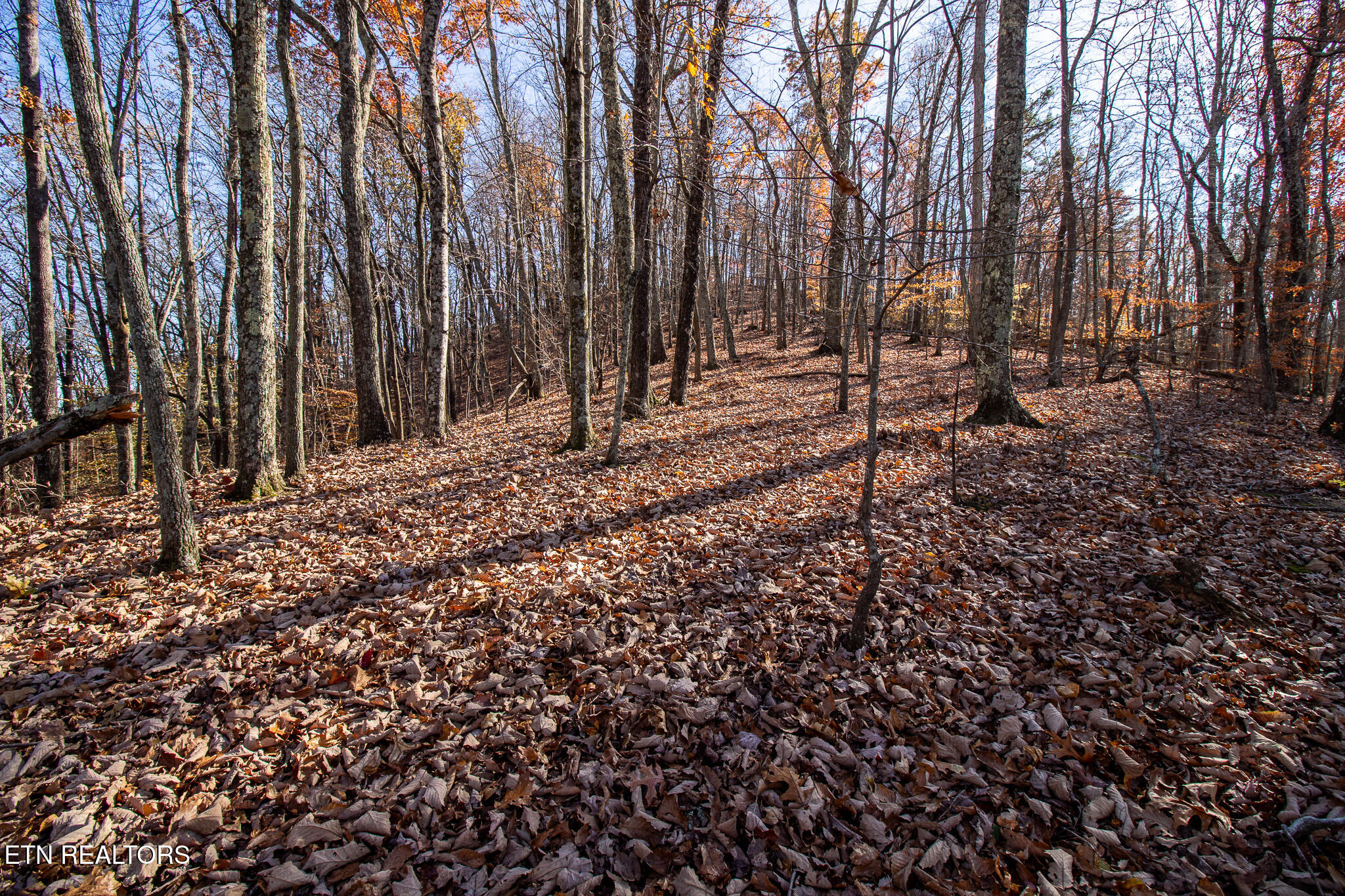 2020 Ruritan Road Harriman, TN 37748 - Photo 7 of 14 _MG_4011-HDR