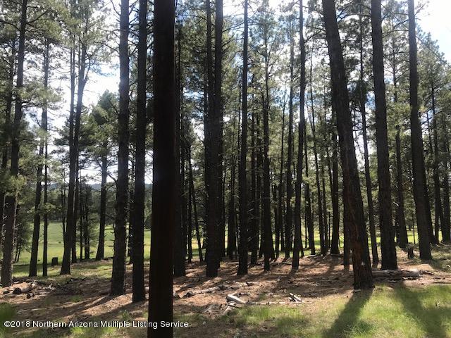 1235 East Lockett Spring Road Williams, AZ 86046 - Photo 11 of 32 IMG_8922