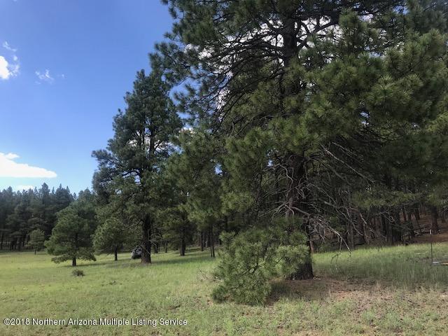 1235 East Lockett Spring Road Williams, AZ 86046 - Photo 20 of 32 IMG_8956