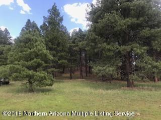 1235 East Lockett Spring Road Williams, AZ 86046 - Photo 2 of 32 IMG_8977