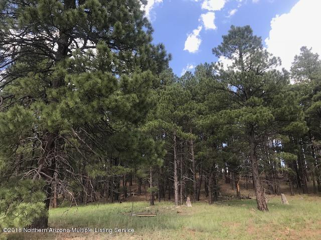 1235 East Lockett Spring Road Williams, AZ 86046 - Photo 21 of 32 IMG_8958