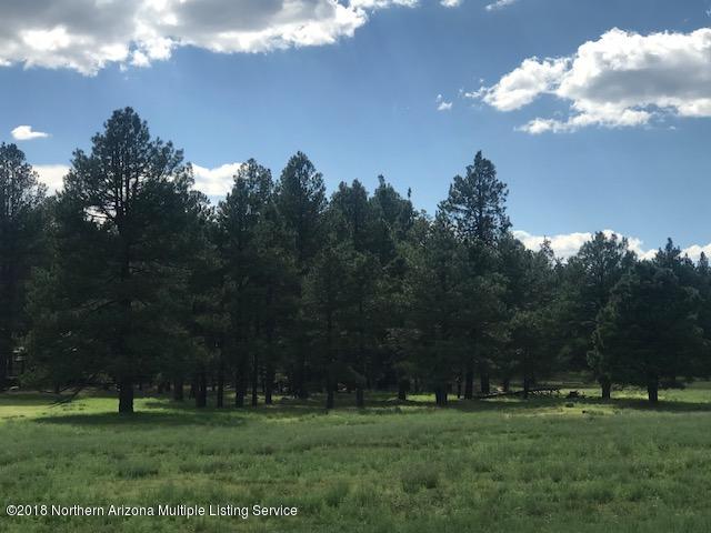 1235 East Lockett Spring Road Williams, AZ 86046 - Photo 22 of 32 IMG_8960