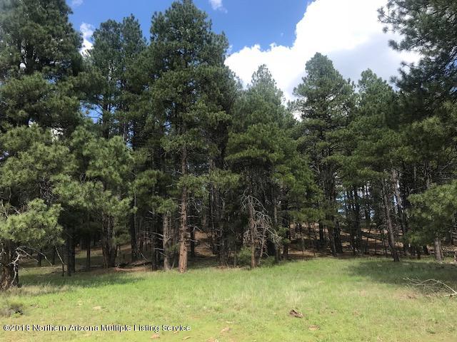 1235 East Lockett Spring Road Williams, AZ 86046 - Photo 25 of 32 IMG_8966