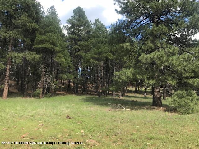 1235 East Lockett Spring Road Williams, AZ 86046 - Photo 26 of 32 IMG_8968