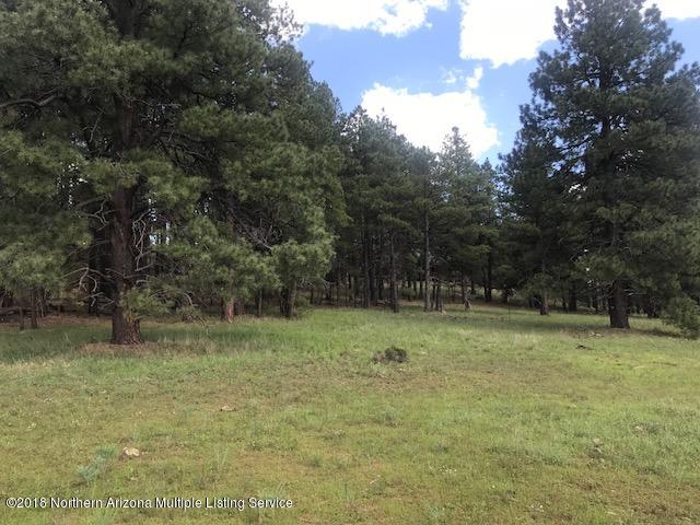 1235 East Lockett Spring Road Williams, AZ 86046 - Photo 27 of 32 IMG_8975