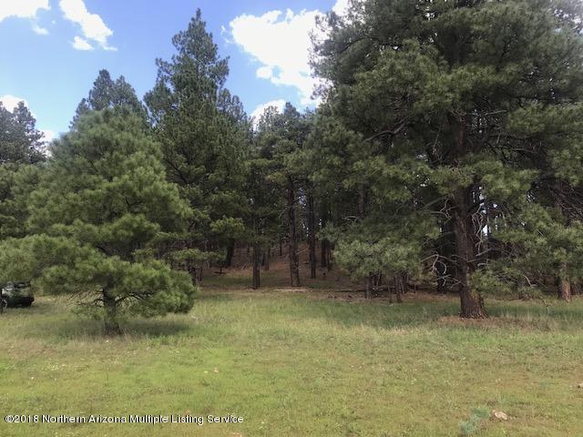 1235 East Lockett Spring Road Williams, AZ 86046 - Photo 28 of 32 IMG_8977