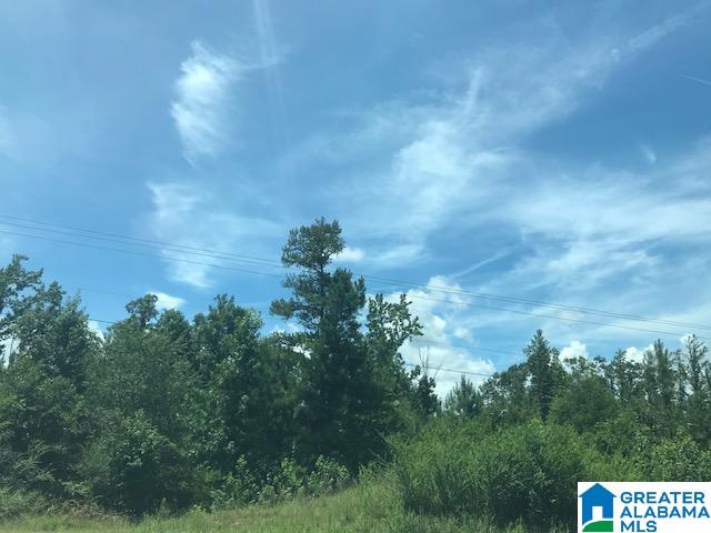 0 Vance Blocton Road, Unit 47 3 ACRES West Blocton, AL 35184 - Photo 4 of 4
