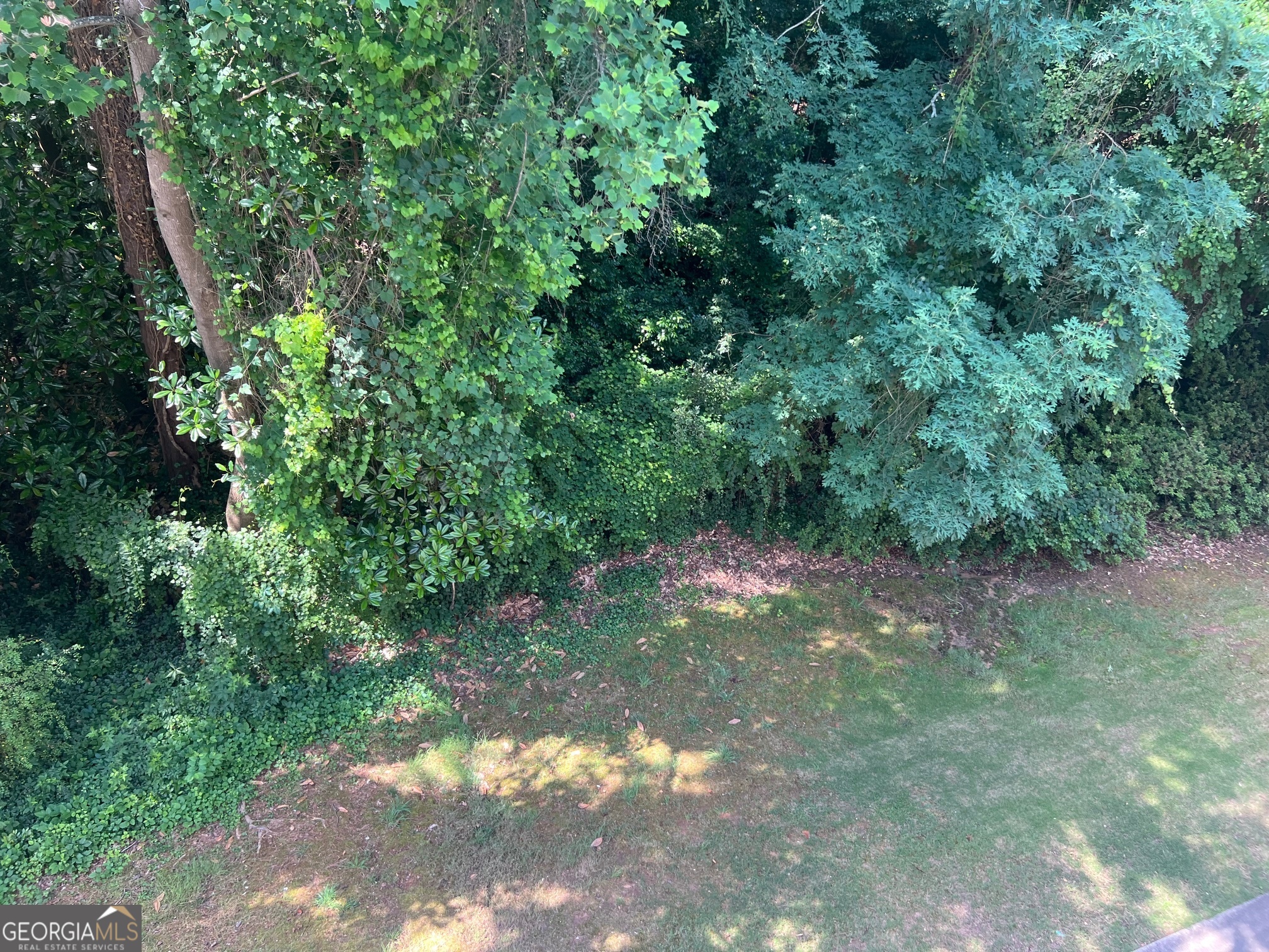 3071 Lenox Road Northeast, Unit 39 Atlanta, GA 30324 - Photo 9 of 29 a view of a yard with a tree