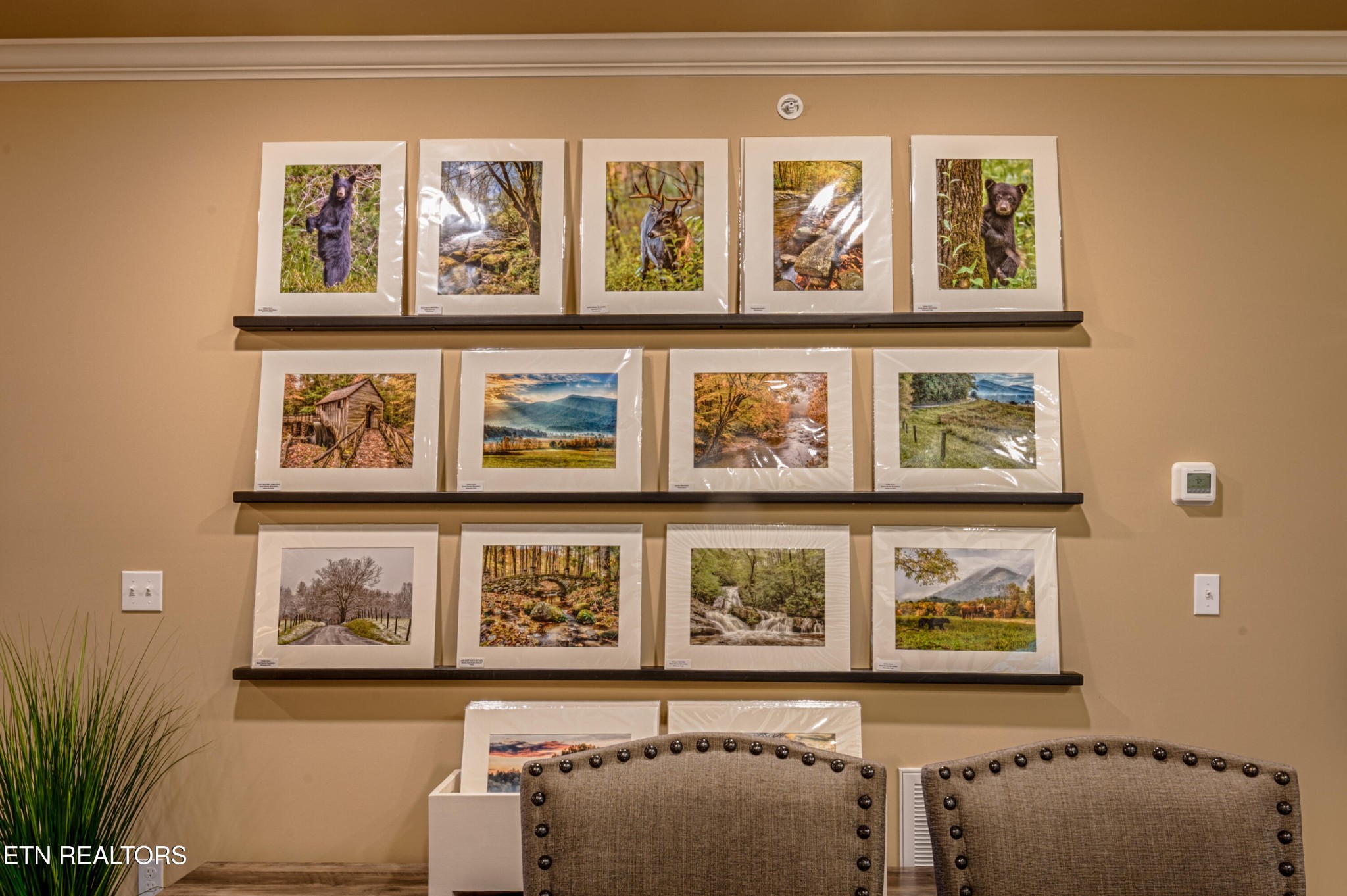 229 Bishops Cap Circle, Unit 101 Townsend, TN 37882 - Photo 12 of 47 a front view of wall with paintings on the wall and paintings on the wall