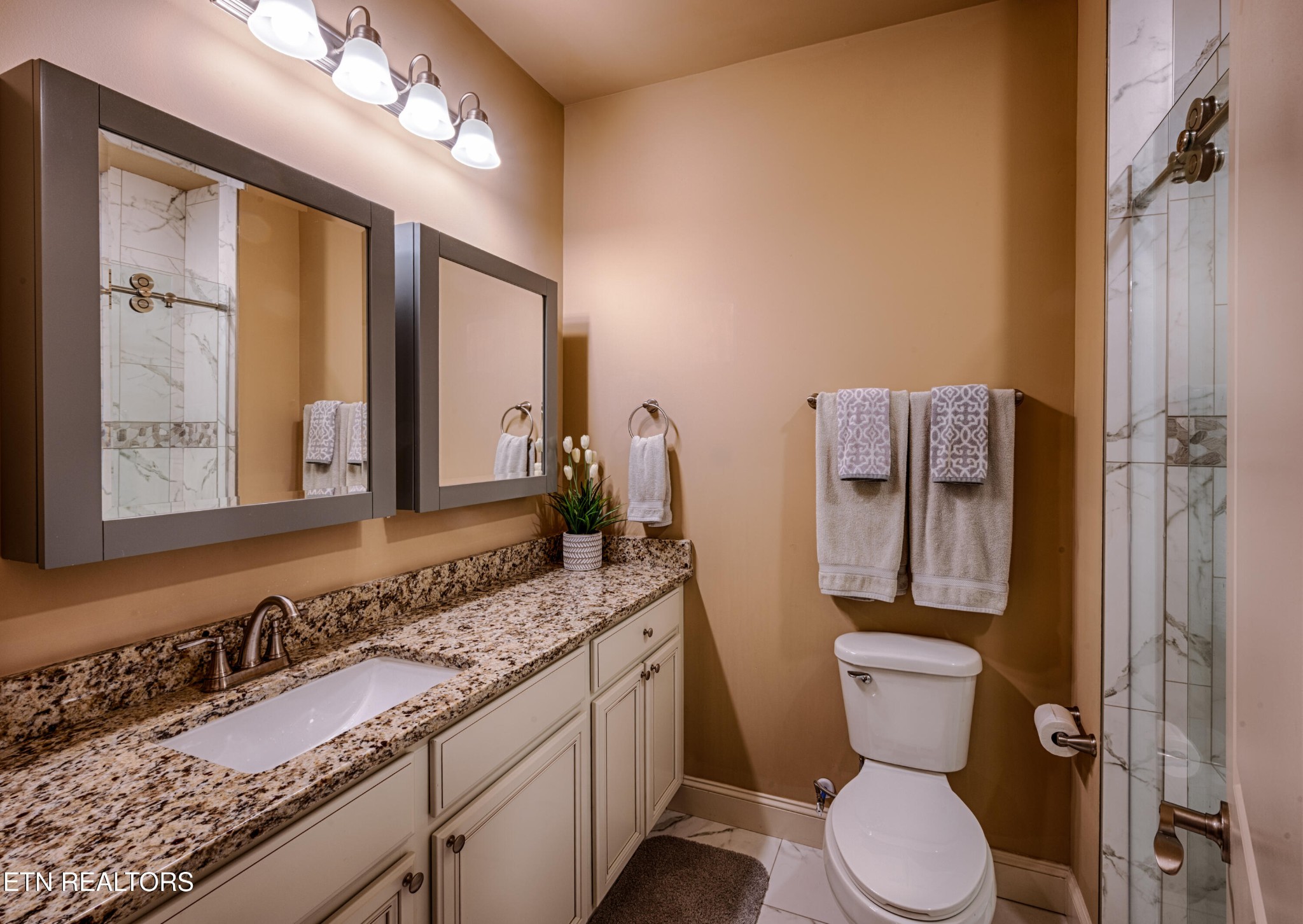 229 Bishops Cap Circle, Unit 101 Townsend, TN 37882 - Photo 24 of 47 a bathroom with a granite countertop toilet sink and mirror