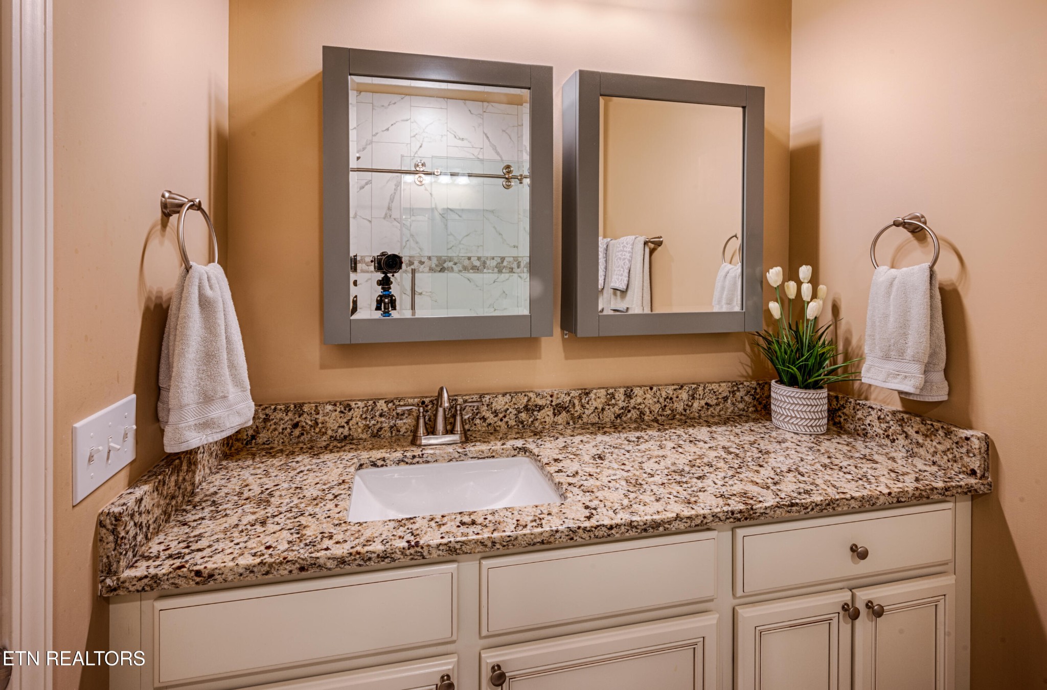 229 Bishops Cap Circle, Unit 101 Townsend, TN 37882 - Photo 26 of 47 a bathroom with sink and mirror