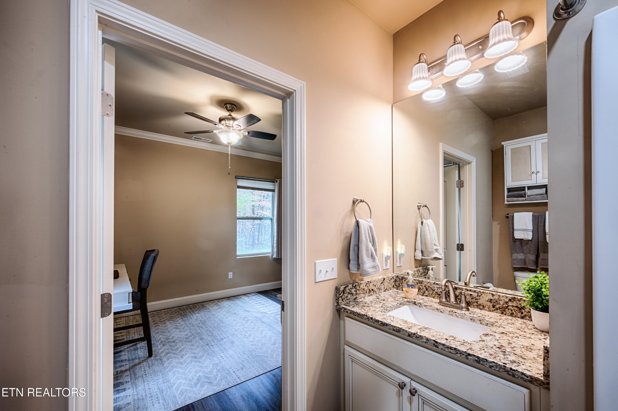 229 Bishops Cap Circle, Unit 101 Townsend, TN 37882 - Photo 36 of 47 a en suite bathroom with a granite countertop sink and a mirror
