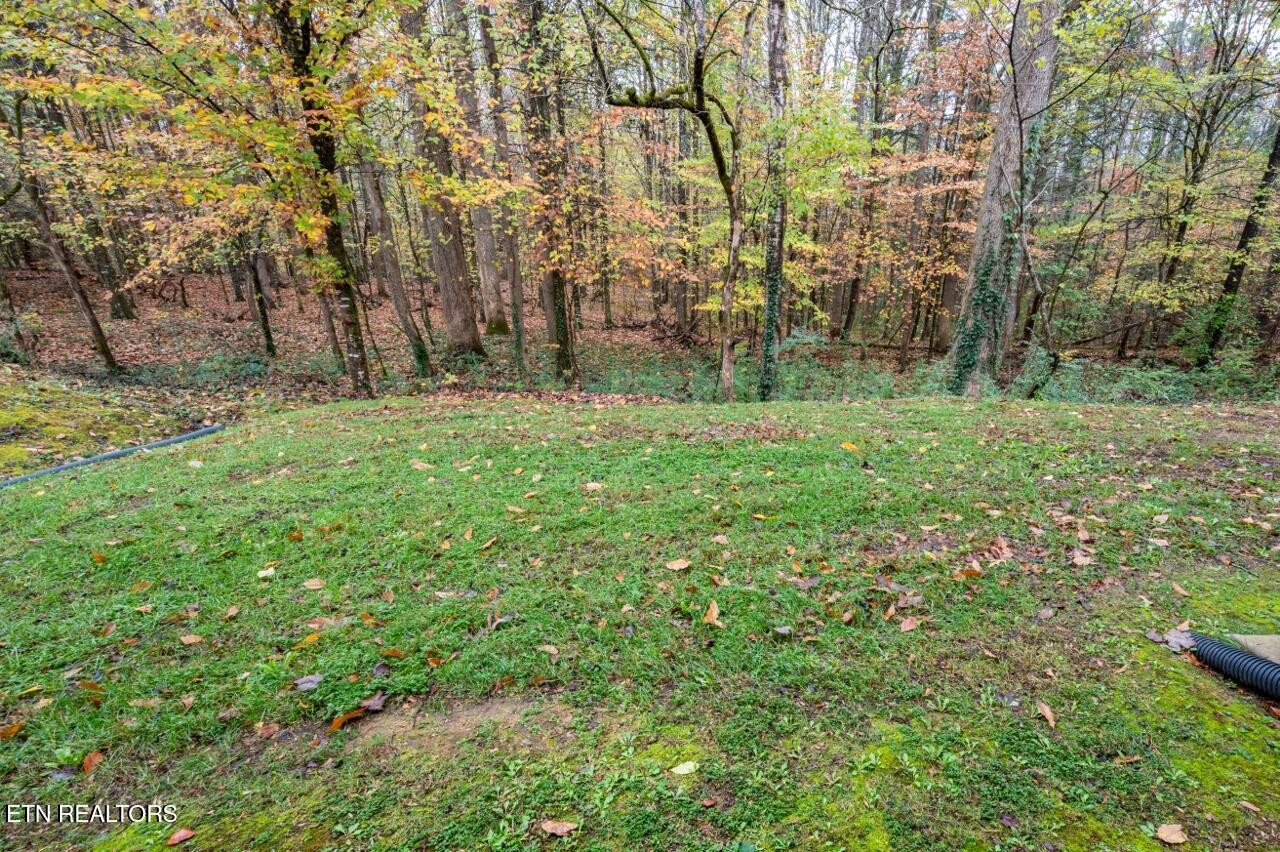 229 Bishops Cap Circle, Unit 101 Townsend, TN 37882 - Photo 42 of 47 a view of yard with large trees