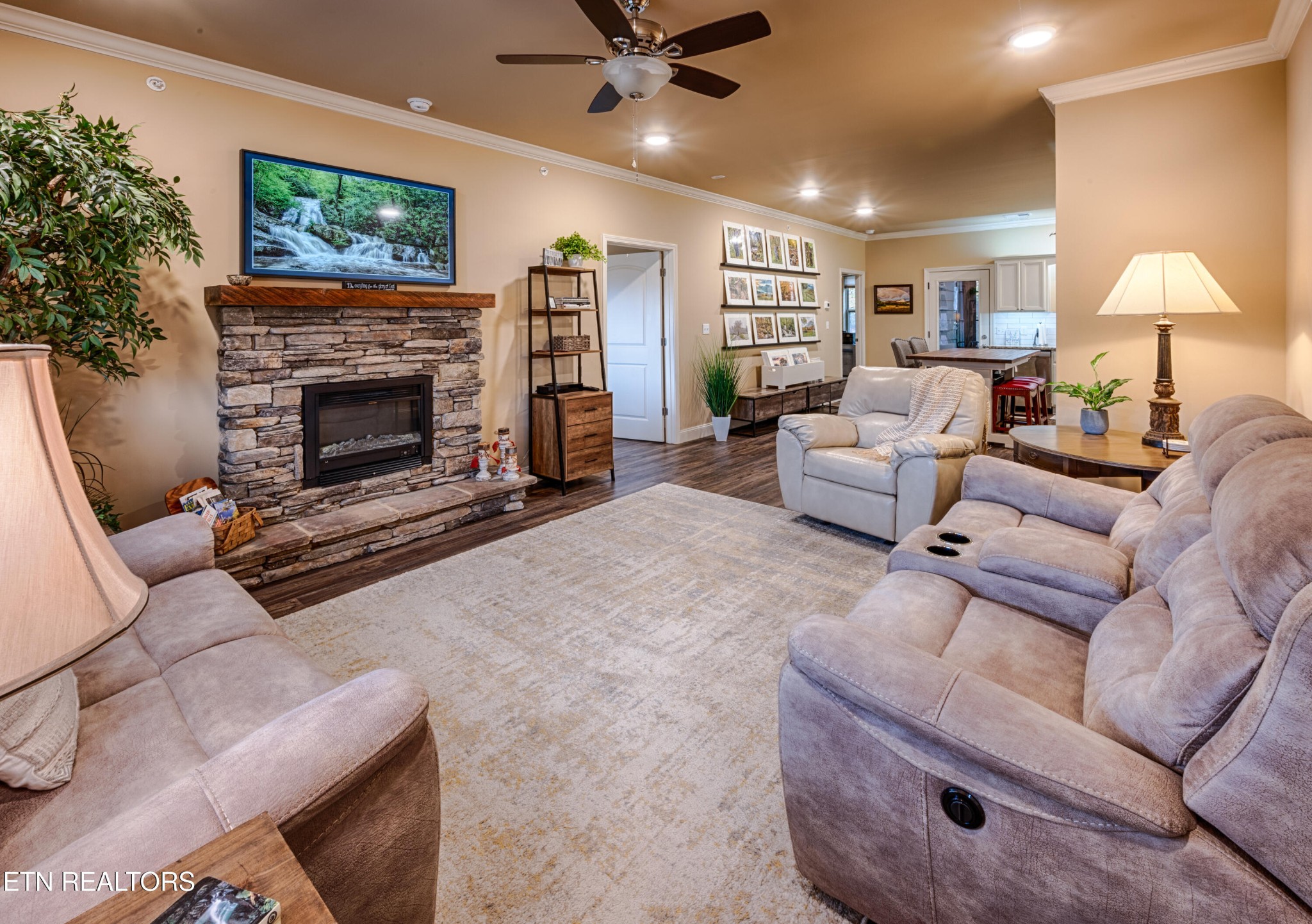 229 Bishops Cap Circle, Unit 101 Townsend, TN 37882 - Photo 6 of 47 a living room with furniture a fireplace and a flat screen tv