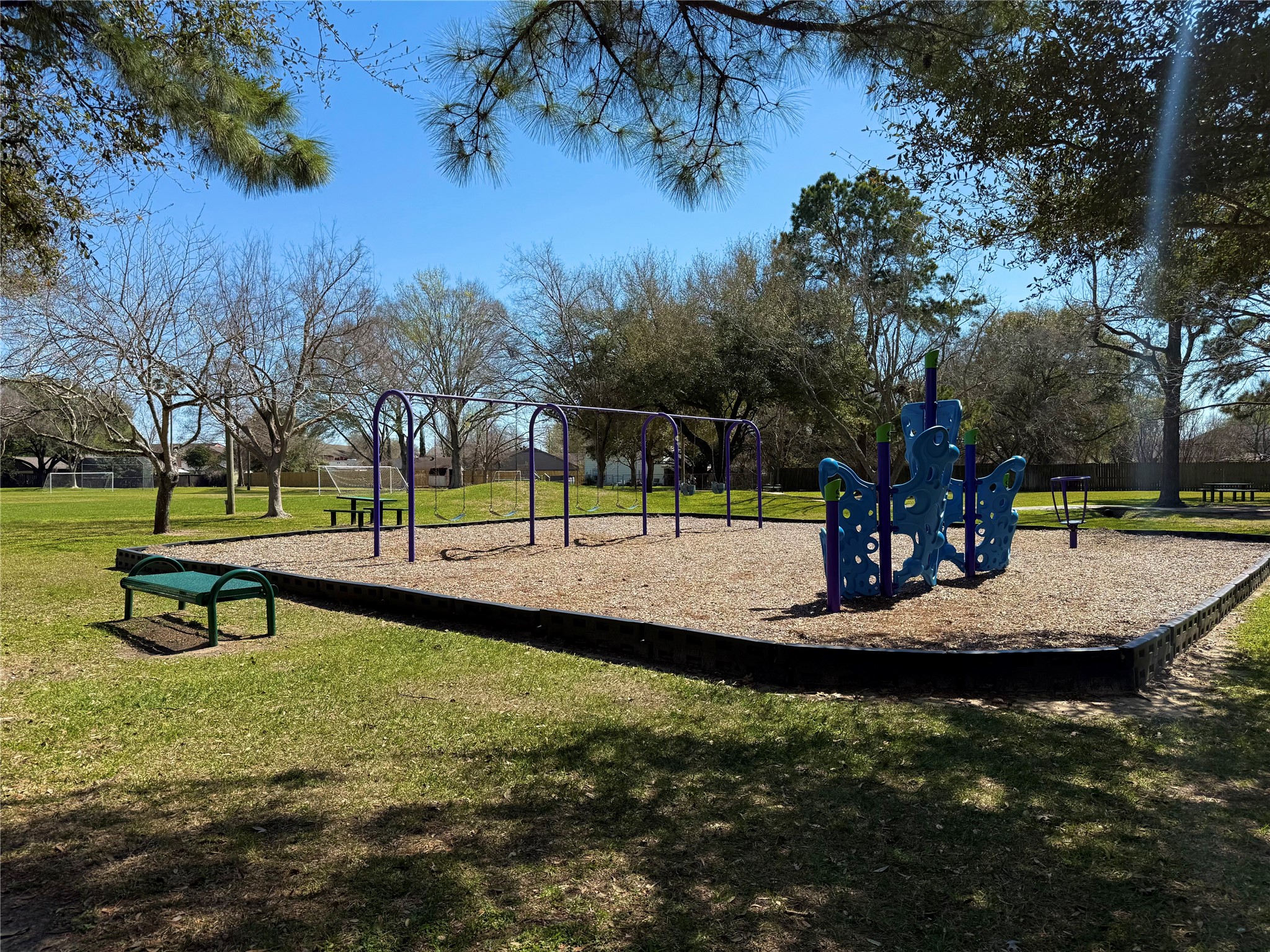 555 Shealy Street Houston, TX 77598 - Photo 39 of 41 a view of a park with large trees