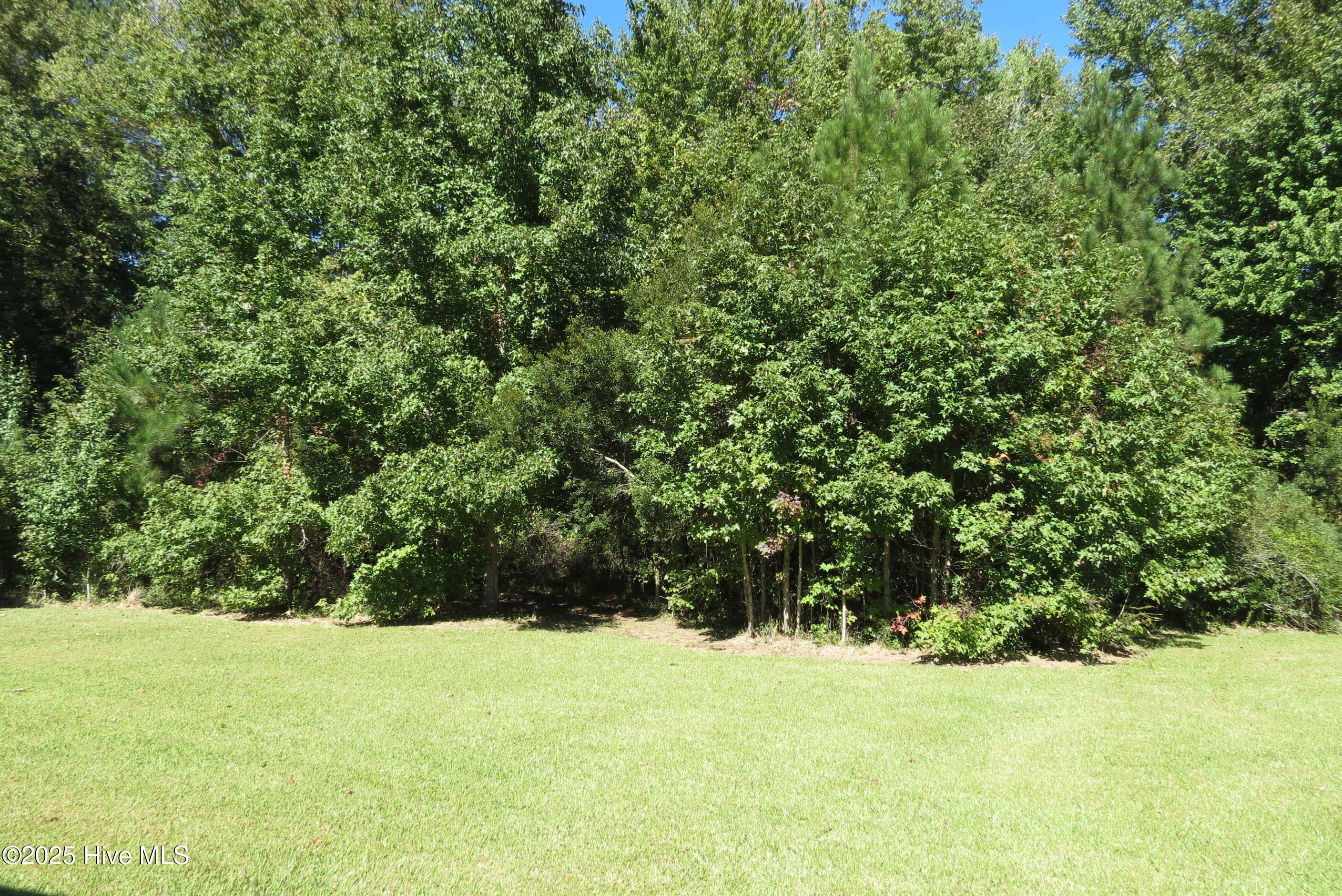 2903 Trent Road Merritt, NC 28556 - Photo 12 of 36 IMG_2424