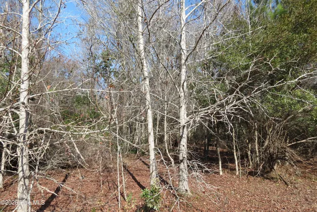 $232,000 | 2903 Trent Road, Merritt, NC 28556