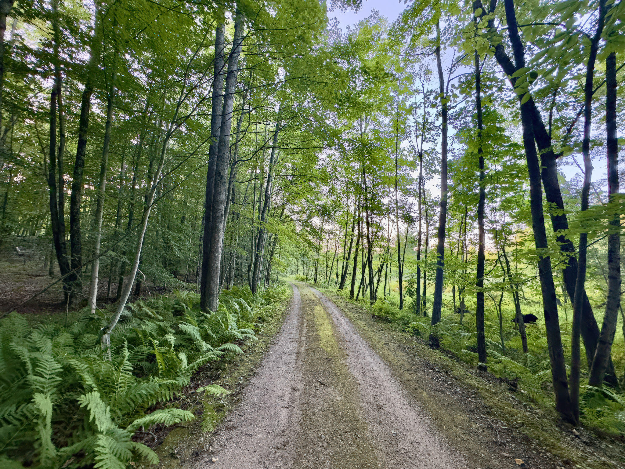 4185 North Taylor Road Branch, MI 49402 - Photo 30 of 67 24-Drive_002