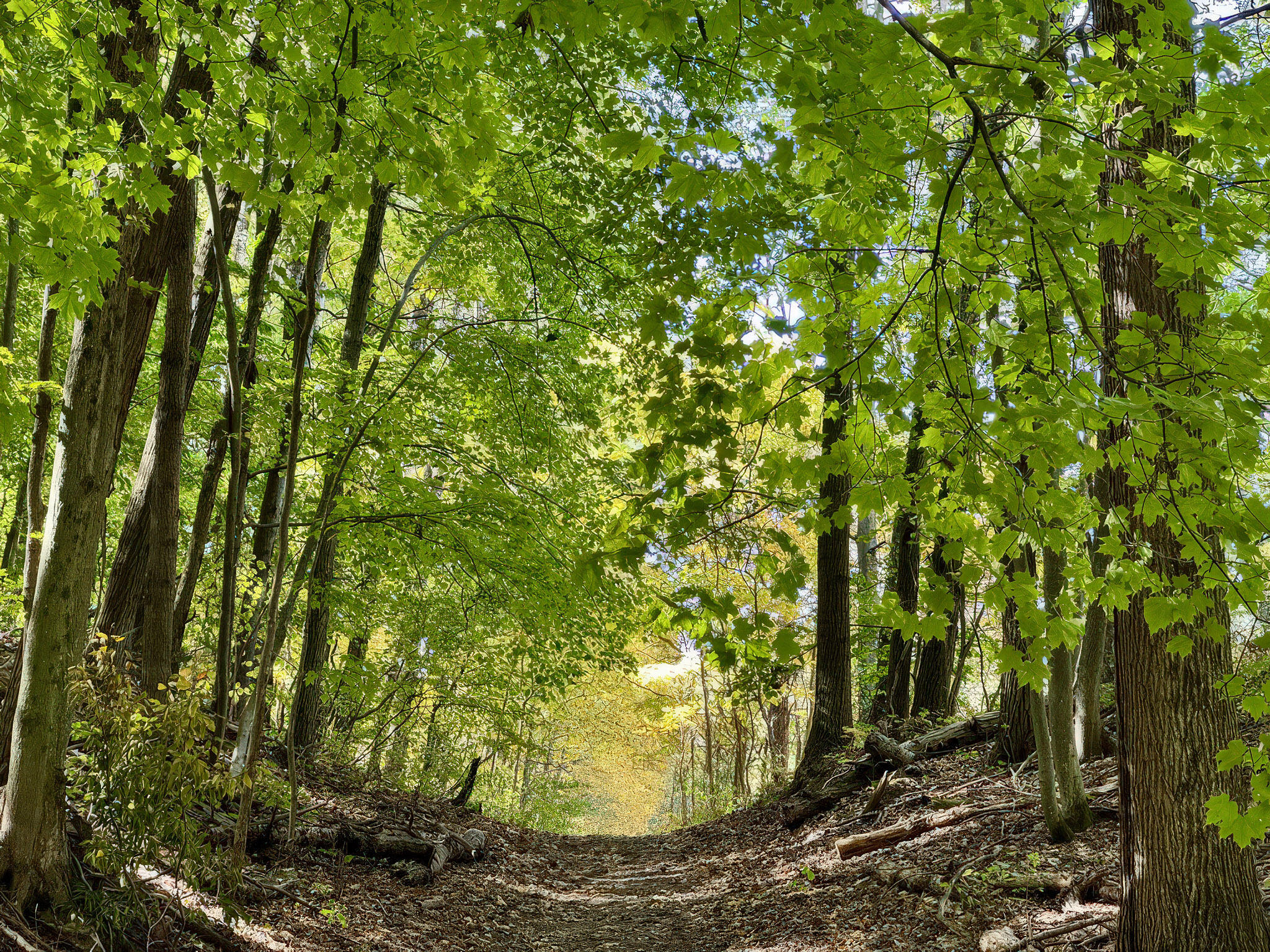 4185 North Taylor Road Branch, MI 49402 - Photo 32 of 67 22-FBA446BD-31E2-43A0-B7F7-D0A92261422E_